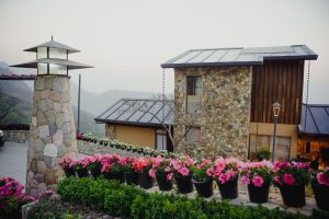 Read more about the article Terra Grande Rishikesh: Luxury Villas in Narendra Nagar